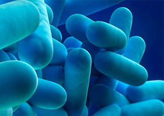 Correct insulation can stop legionella-bacteria